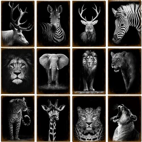 Elephants Lions Elk Giraffes Animal Black and White Photo Tin Sign Vintage Wall Art Metal Signs for Club Bar Pub Home Decoration