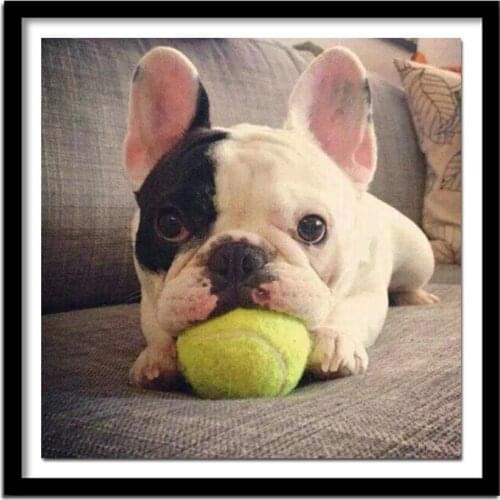 2019 Full,Diamond Embroidery,5D,Diamond Painting,French Bulldog dog Cross Stitch,3D,Diamond ,Needlework,Pattern Rhinestone