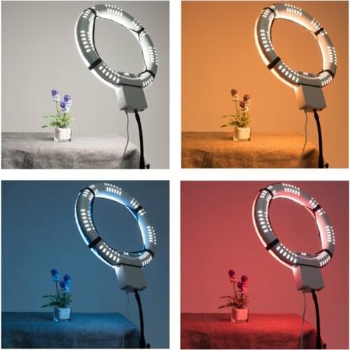 MagiDeal Collapsible 12 inches Softbox Light Diffuser for LED Ring Light 12" Photography Soft Diffuser Cloth