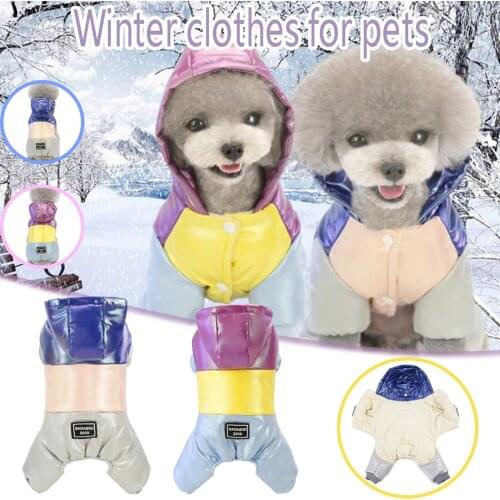 Winter Pet Dog Down Coat Hoodie Puppy Clothes Pretty Colorful Parkas Cotton Jacket for Teddy Corgi Chihuahua Hiromi