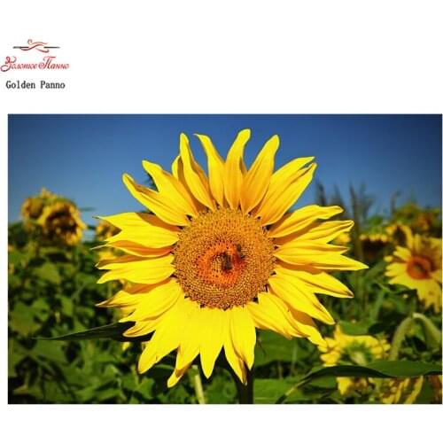 Golden Panno,Needlework,DIY DMC 14CT 11CT printed Cross stitch,Embroidery kits Sunflower flower white canvas Counted Wall Art