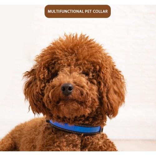 Pet Dog Collar Solar Luminous Collar Adjustable Personalized For Medium Large Dogs Pitbull Bulldog Pugs Beagle