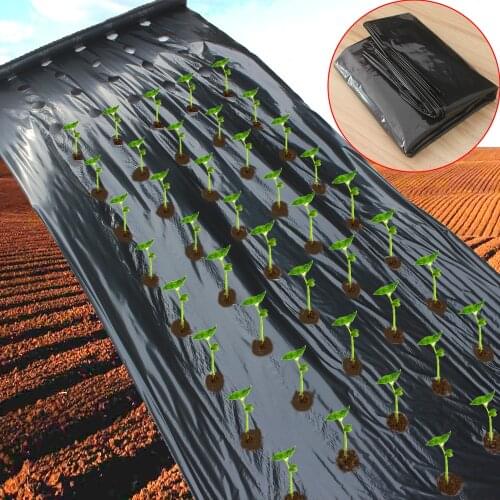 New Design Agriculture Mulch Pre-punched Hole Plastic Film Greenhouse Weeds Control Mylar Strawberry vegetable Planting Tools