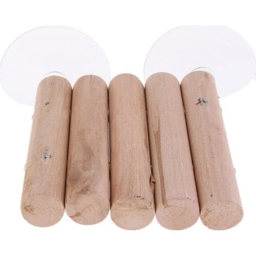 Reptile Turtle Basking Terrace Frog Wooden Pier Floating Platform Aquarium