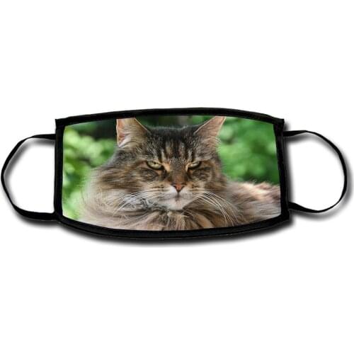 MERCHANDMANIA reusable hygienic mask cat MAINE COON very Monkey Box regulator protection personalized health