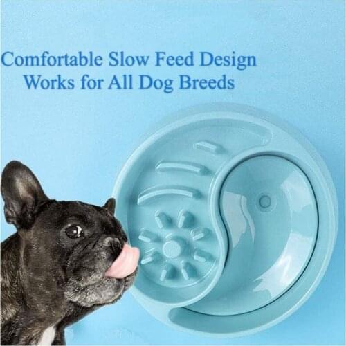 Large Capacity Slow Feeder Dog Bowl Safe Durable 2 In1 Food Water Pet Bowl Drinking Prevent Bloat Vomiting Wet Mouth Pet Bowl