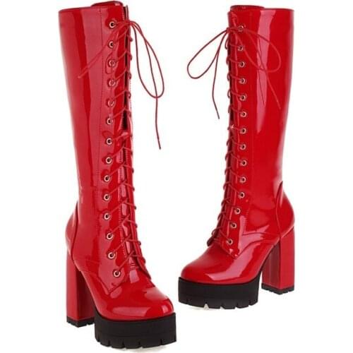 Womens Autumn and Winter Recreational Pointy High Heels Thick Heel Cross Strap European and American Fashion Boots 96-1