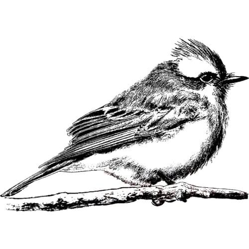 Bird Clear Stamp/Seal for DIY scrapbooking/photo album Decorative clear stamp sheets A1854