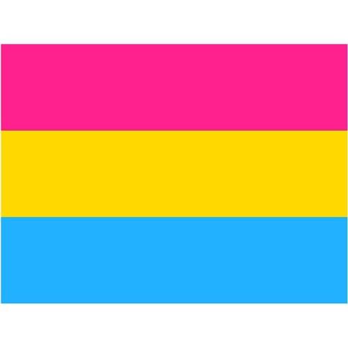 90CMx150CM Rainbow Pride Flag Polyester Decorative Banner Bunting LGBT Gay Rainbow Progress Pride Flag Decoration For Garden