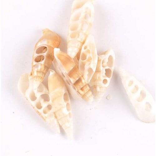 10pcs Natural Shell DIY Scrapbook Crafts Trilateral Pattern Hollow Out Seashells Handmade Home Decor Ornaments 42-55mm TR0133