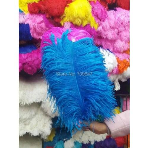 Big Feathers!20Pcs/Lot! 60-65cm ROSE and Turquoise Ostrich Feathers,Two Tone Ostrich Loose Feathers,high quality trendy feathers