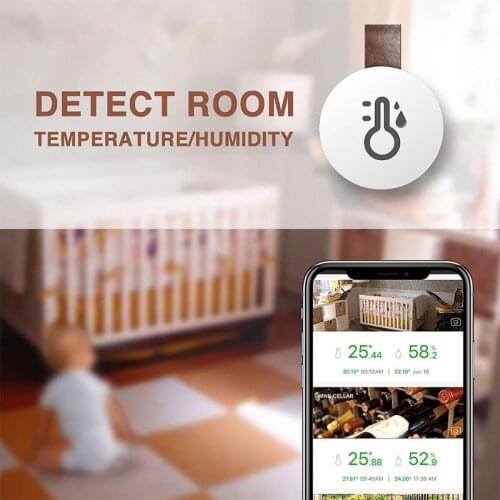 T21D Digital Hygrometer Indoor Outdoor Thermometer Wireless Bluetooth Temperature and Humidity Gauge Monitor Room Thermometer