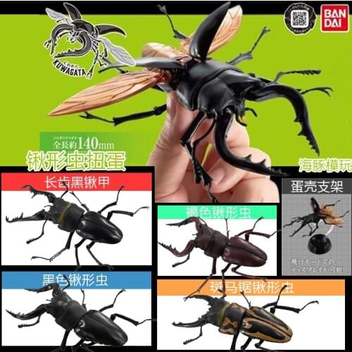 Bandai Genuine Gashapon Toys Kuwagata Insects Simulation Model 4 Kinds Action Figure Ornaments Toys