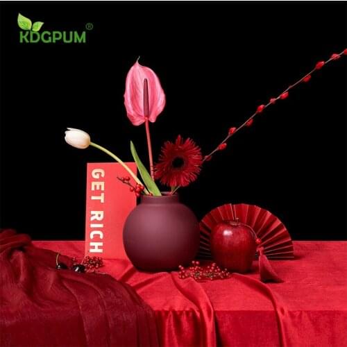 Modern Handmade Ceramic Vase Nordic Morandi Artistic Personality Matte Berry Red Flower Pot Home Decoration Ornaments