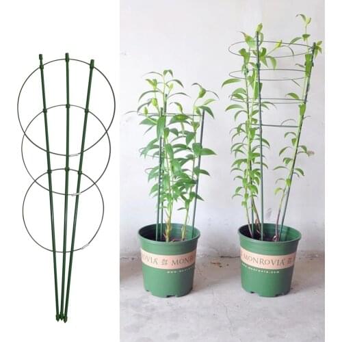 45/60/7545/60cm Climbing Vine Rack Plant Potted Support Frame Plastic Coated Steel Flower Vegetables Decorative Trellis Bracket