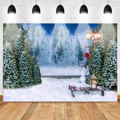 Winter Snowy Christmas Photography Backdrops for Photo Studio Winter Snowflake Landspace Pine Backdrops Street Light portrait