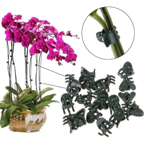 20/50PCS Plastic Plant Support Clips Orchid Stem Clip for Vine Support Vegetables Flower Tied Bundle Branch Clamping Garden Tool