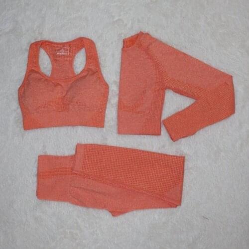 2021 Women Seamless Yoga Set Fitness Sports Suits GYM Cloth Yoga Long Sleeve Shirts High Waist Running Leggings Workout Clothing