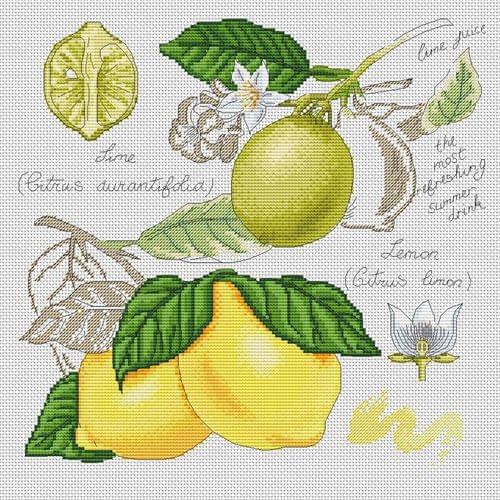 ZZ929 For Needlework Kit NOT PRINTED Cross stich Painting Set Cross Stitch Kits Cross-stitch Embroidery Set Stitch Kits Cross