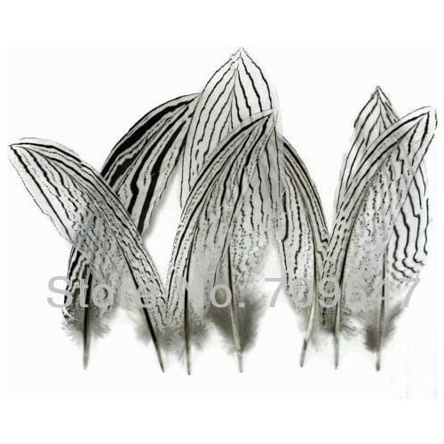 Silver Feathers! 50Pcs/lot ! 15-20cm 6-8inches NATURAL Silver Tail Pheasant Feathers,Silver Pheasant Tails,Feathers Top
