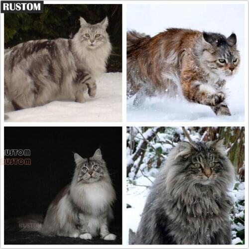 Jenkins 5D Diy Diamond Painting Animal Maine Coon Cat Handicrafts Diamond Embroidery Cross Stitch Large Cat Art Home Decoration