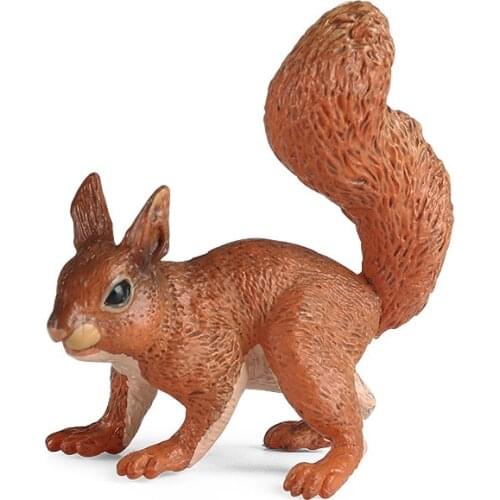 Hot Simulation Animal Plastic Action PVC Solid Model Squirrel Figures Collection Toy for children Educational Kid Cognition Gift