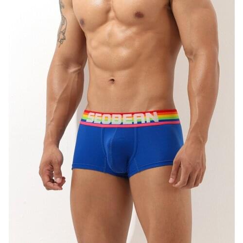 Rainbow Stripes Wide Belt Gay Pride Underwear Mens Cotton Underpants Pure Color Breathable Bulge Enhancing Penis Boxers Briefs