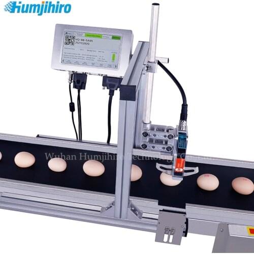 Thermal Inkjet Printer QR Code Printing Egg Duck Egg Batch Date Number Logo Expiry Date Online Automatic Inkjet Printer