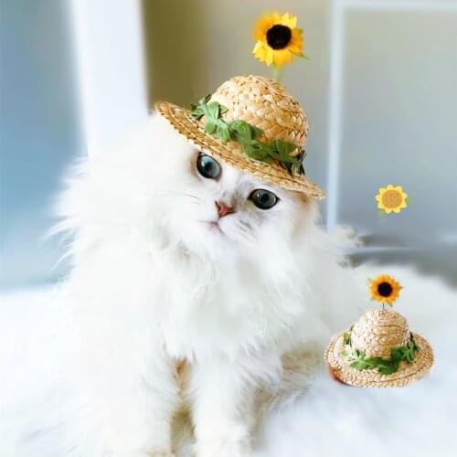 Funny Floral Hats For Small Dogs Puppy Little Animal Sun Proof Country Hawaii Style Cool Pet Cat Kitten Cap Chihuahua Products