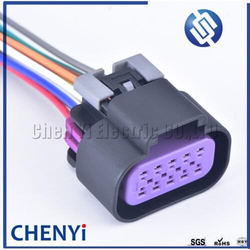 10 Pin efi engine auto waterproof connector Oil Pump Connector Light Lamp Socket For BUICK Infiniti ISSUZU 15326842 with wires