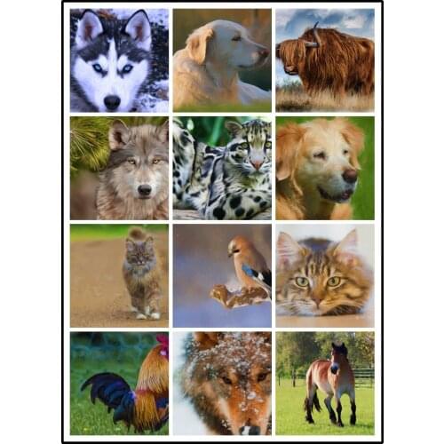 LIPHISFUN Full Drill Diamond Painting Handmade Cross Stitch Embroidery Square/round DIY Animal Cute