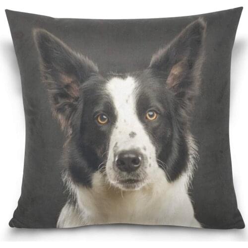 Beautiful Border Collie Dog Decorative Square Double-Sided Throw Pillow Case Cushion Cover for Sofa Bedroom Car