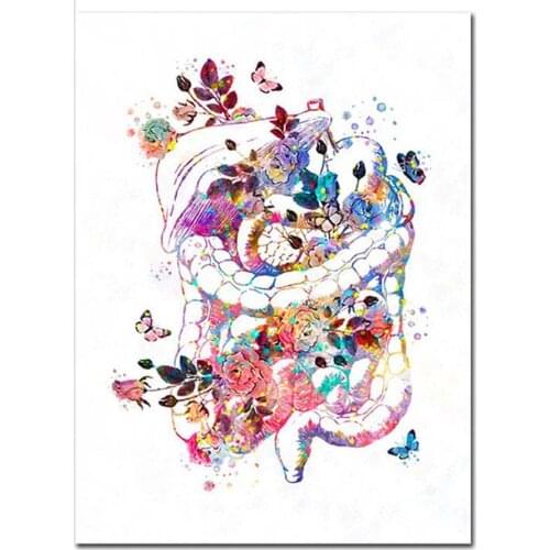 Full Square Round Drill 5D DIY Diamond Painting Human Anatomy Medical patterns bead Embroidery Cross Stitch 5D Mosaic Kit