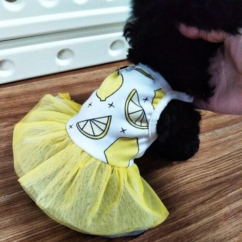 Summer Pet Dress Dog Tutu Skirt Pomeranian Poodle Bichon Frise Schnauzer Dog Clothes Dresses Wedding Costumes Apparel Outfit