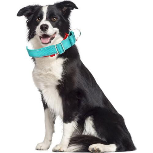 Dog Collar Reflective Dog Collar Accessories Adjustable Dogs Harness No Pull Pet Products for Dogs Collars and Harnesses Fashion