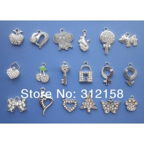 S44! Wholesale 100Pcs/Lots DIY Alloy Enamel mixed Point Man Animal Series Charms Metal Charms
