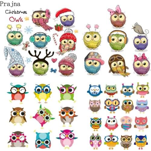Prajna Owl Heat Transfer Vinyl Thermal Transfer Patch Badge Cartoon Iron On Transfers For Baby Clothes Kids Stickers A Level DIY