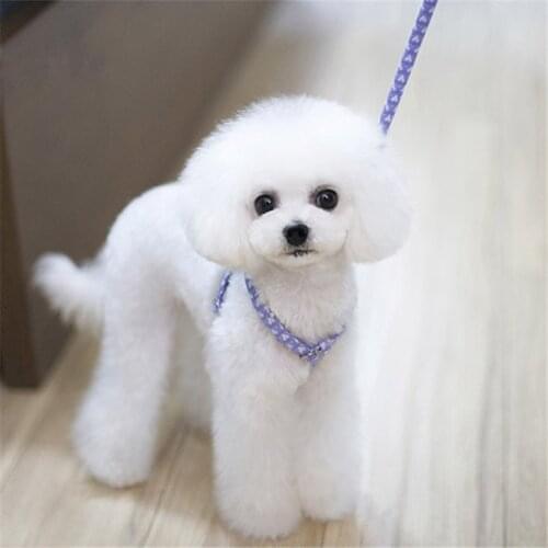 Cheepet Products For Dogs