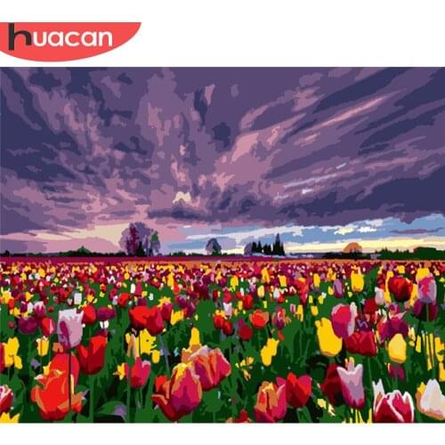 HUACAN DIY Pictures By Number Flower Kits Home Decor Painting By Numbers Sky Scenery Drawing On Canvas HandPainted Art Gift