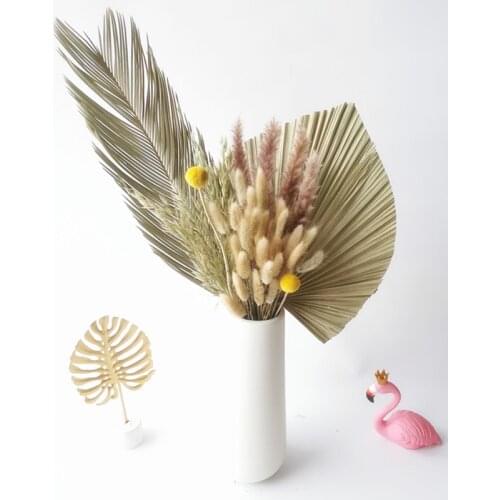 Natural Dried Flower Palm Leaf Palm Wall Hanging Wedding Arch Home Decoration Vintage Bunny Tail Pampas Grass Palm Leaves Decor