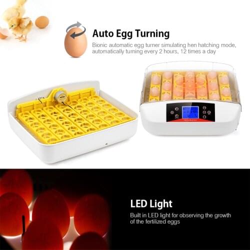 Poultry Hatcher Machine Digital Egg Incubator 41 Eggs with Egg Turner Candler LCD Display Temperature Humidity Preset Alarm Fan