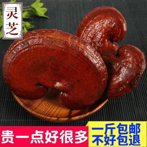 500g/1000g Natural high quality Ganoderma Ganoderma lucidum Ganoderma free delivery