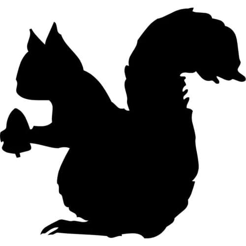 10*9.4CM Squirrel Car Sticker Decals Funny Cartoon Motorcycle Stickers Car Styling Accessories C2-0432