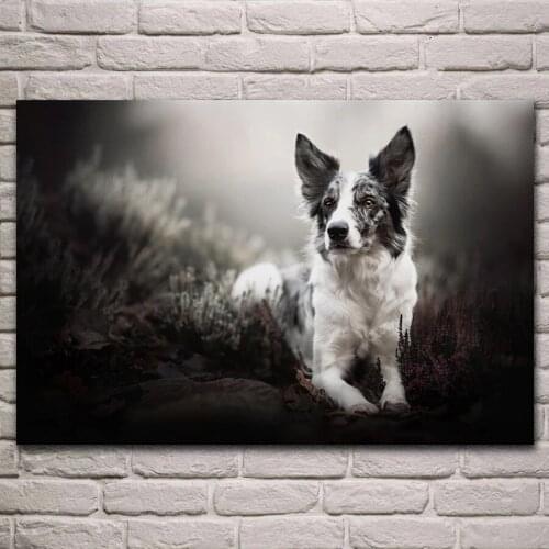 Full Square Round Drill 5D Diamond Painting Animal Shepherd Mosaic of Rhinestone Diamond Embroidery Pet dog Home Decor gift P361