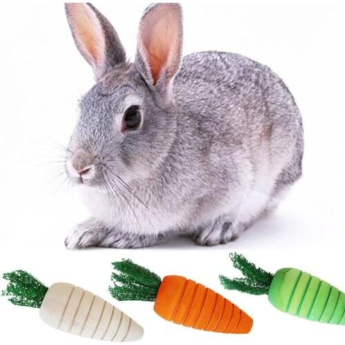 Hamster Rabbit Chew Toys Chinchilla Accessories Carrot Wooden Bird Cage Toy for Small Animal Guinea Pig Bite Toy Molar Pet Toys