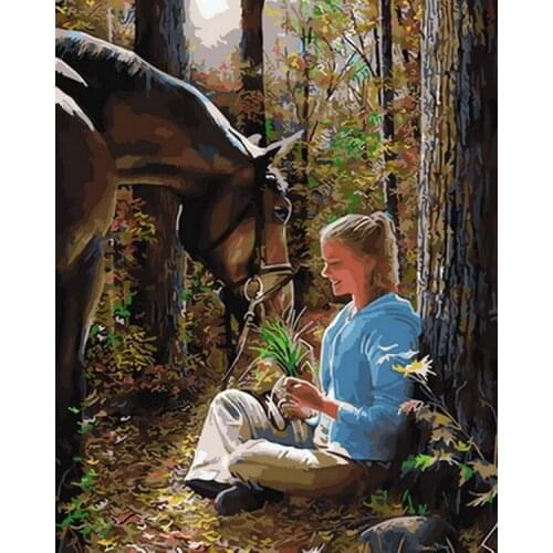 Frameless picture oil paintings by numbers wall decor diy painting on canvas for home decor 4050cm girl with horse