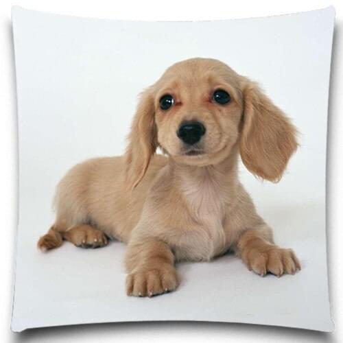 Dog Pattern Decorative Throw Pillow Case Cushion Cover Sofa Home Decor Christmas Cotton Polyester Fashion High Quality Animal