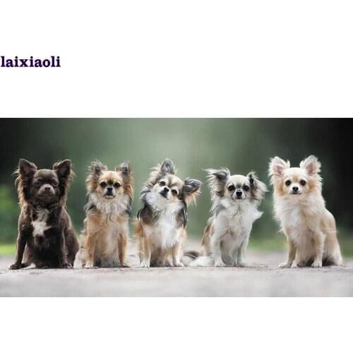 Pet Series Diy Diamond Painting chihuahua Dog Full Drill Mosaic Rhinestone Embroidery Cross Stitch Kit Needlework Home Decor art