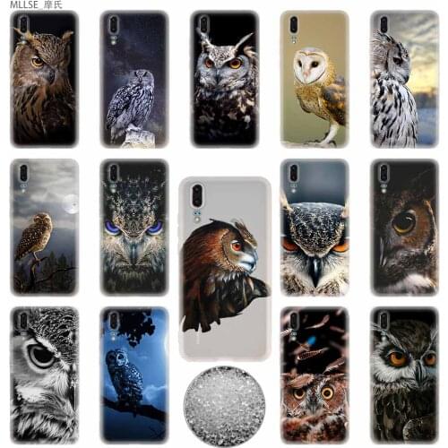 Bird Eagle Animal Owl Night TPU Cover Phone Cases For Huawei P40 P30 P20 Pro P10 P9 Lite p30lite p40lite P samrt Z 2020
