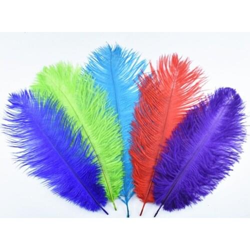 10Pcs/Lot Ostrich Feathers for Crafts 30-35CM 12-14" White Ostrich Feather Decor Feathers for Clothes Decoration Plumas Carnaval